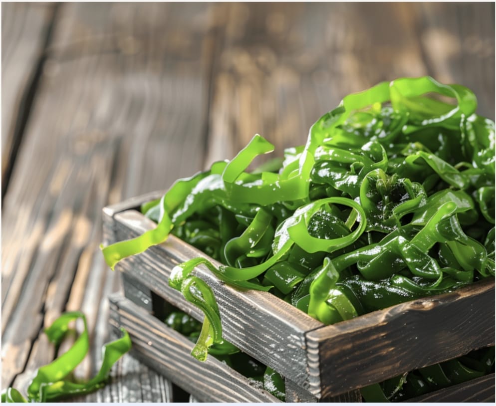Wakame OptiPlax Ingredient